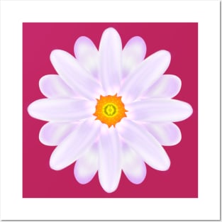 Purple White Aster Flower - Flowery Art Posters and Art